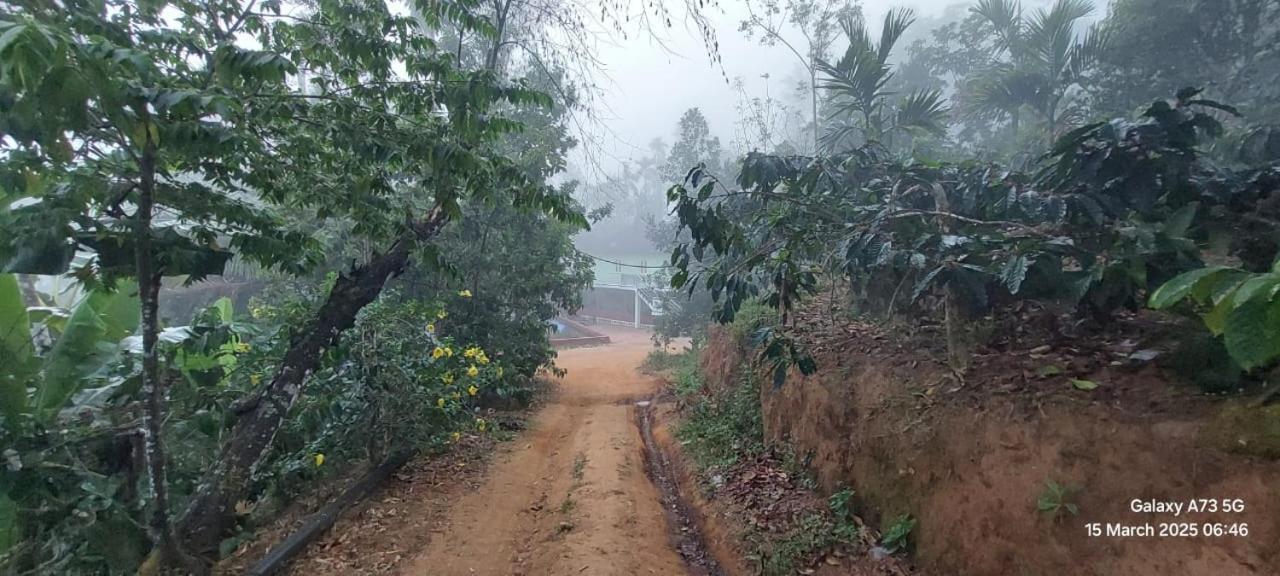 Sambrama Wood House Villa Madikeri Kültér fotó